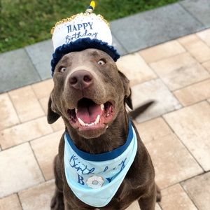 Meet your Posher, Andy